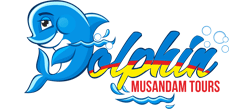 Dolphin Musandam Tours