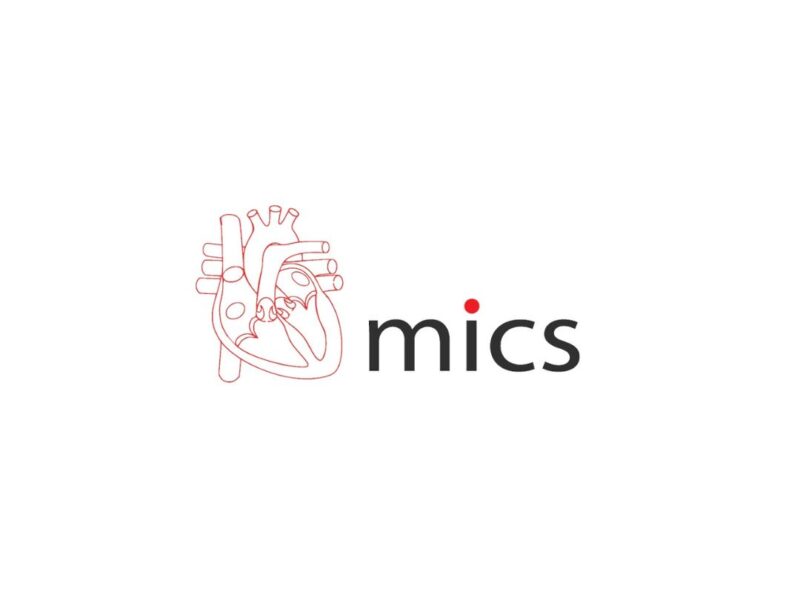 MICS Heart