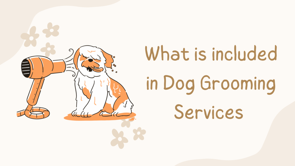 Dog grooming services India