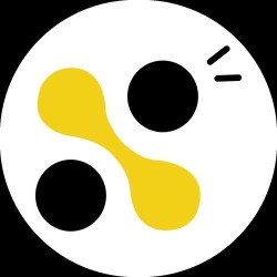 Barking Bee | Performance Driven Digital Marketing Agency