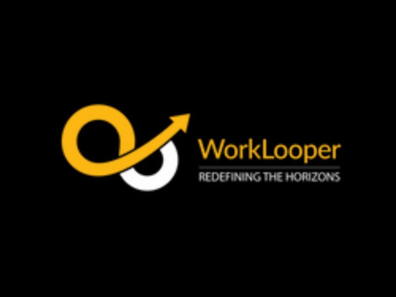 WorkLooper Consultants Private Limited Services