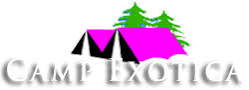 Welcome To Camp Exotica | Luxury Camps in Kullu - Manali India