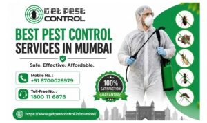 Same-Day Pest Control Mumbai – Book Certified Exterminators