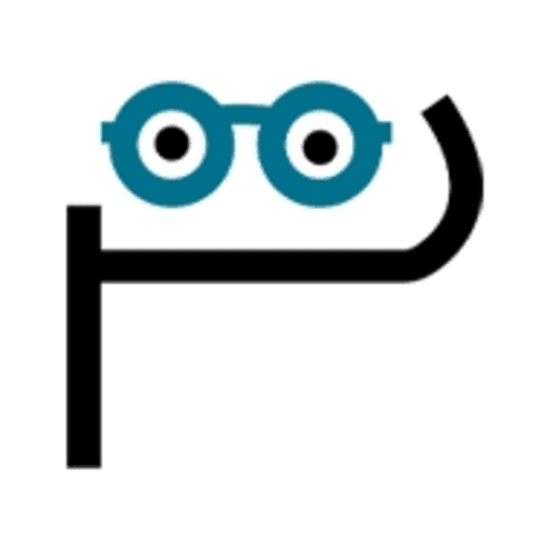 PerfectionGeeks – Custom Software, AI & App Development Solutions