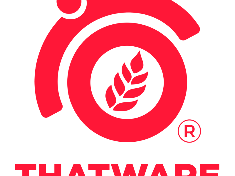 ThatWare – AI-Powered SEO, GEO, AEO & Digital Marketing Company