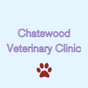 Full Range Veterinary Services | Chatswood Veterinary Clinic Sydney