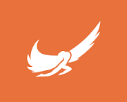 Private Jet Charter & Trip Support | Icarus Jet