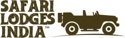 The Safari Lodges India – Luxury Wildlife Resort