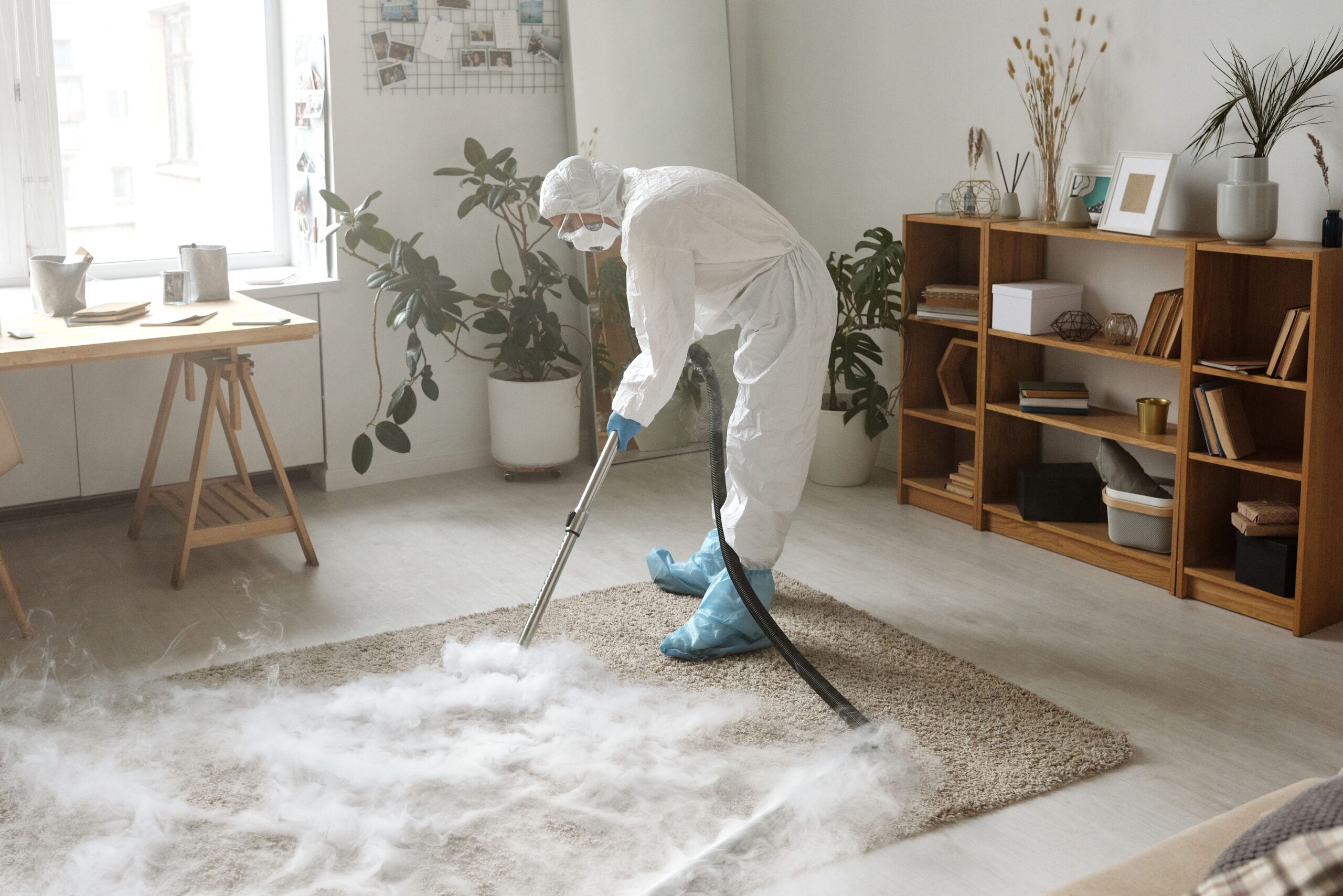 Safe & Effective Mold Removal Services in Jefferson, GA