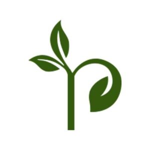 Plantria | Buy Live Plants Online in India – Indoor, Outdoor & Garden Plants
