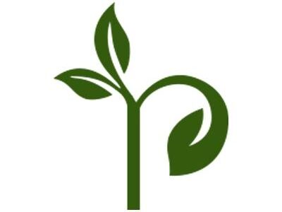 Plantria | Buy Live Plants Online in India – Indoor, Outdoor & Garden Plants