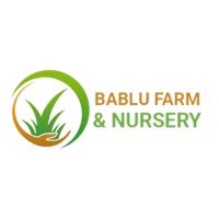 Bablu Farm And Nursery