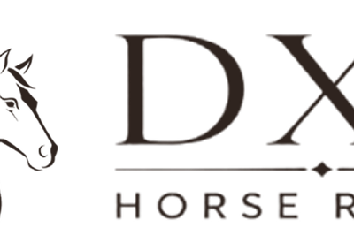 DXB Horse Riding – Horse Riding in Dubai