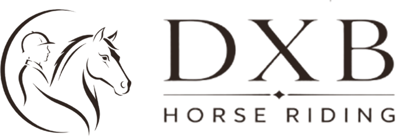 DXB Horse Riding – Horse Riding in Dubai