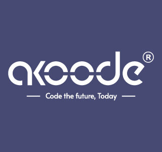 Custom Software Development