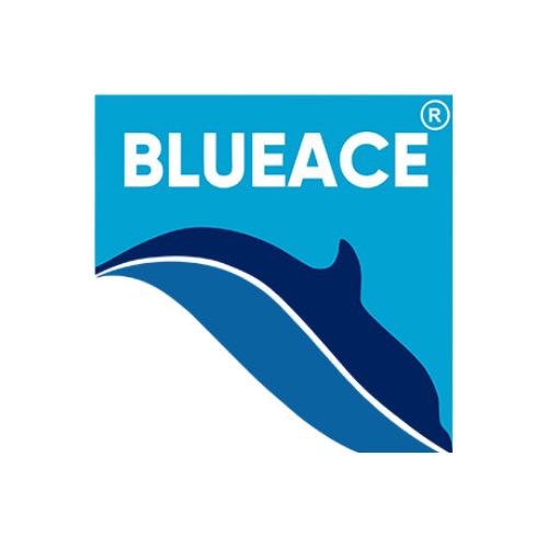 Blueace Limited