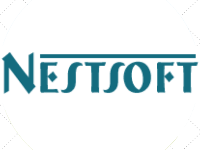 Nestsoft TechnoMaster – Digital Marketing