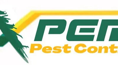 Expert Pest Control Dubai