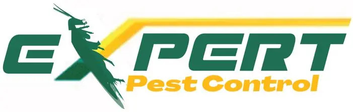 Expert Pest Control Dubai
