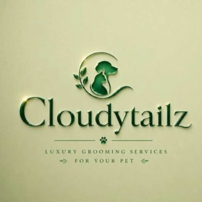 cloudytailz29