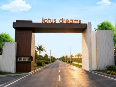 Lotus Dreams