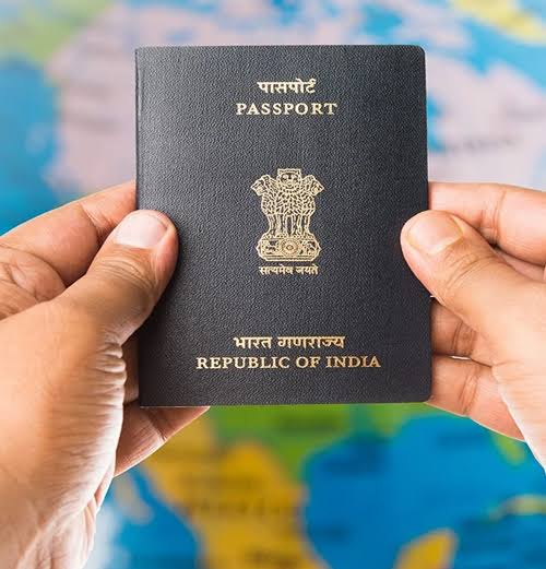 Professional Visa Services