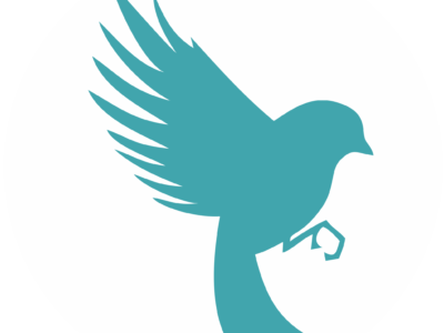 Skylark Graphica | Branding & Digital Marketing Agency