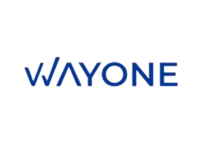 WayOne IT AI-Powered Software Development Company
