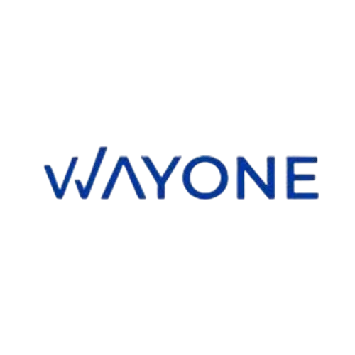 WayOne IT AI-Powered Software Development Company