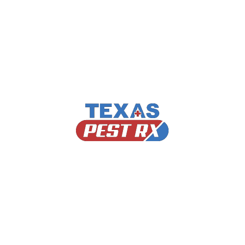 Pest Control Service